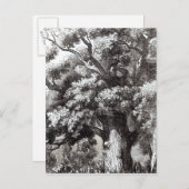 カシの木に隠されたチャールズ2世 ポストカード (正面/裏面)