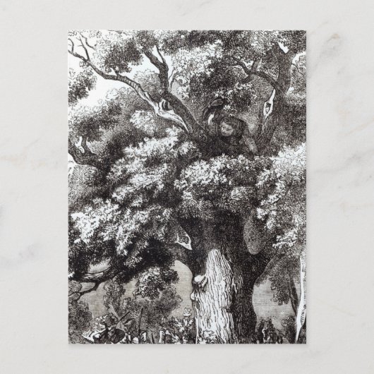 カシの木に隠されたチャールズ2世 ポストカード (正面)