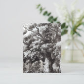 カシの木に隠されたチャールズ2世 ポストカード (スタンド正面)