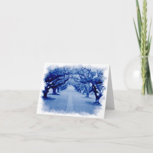 カシの細道 カード (正面)