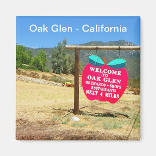 カシの谷間かカリフォルニア磁石! マグネット