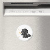 カシェックシャドウ マグネット (インサイチュ (食洗機))