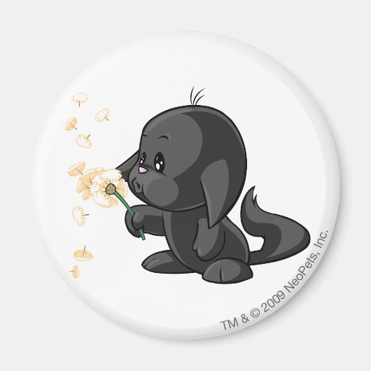 カシェックシャドウ マグネット (正面)