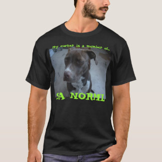 カシミールかNormlのティー Tシャツ