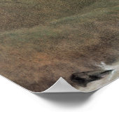 カシミール， c.1860 ポスター (角)