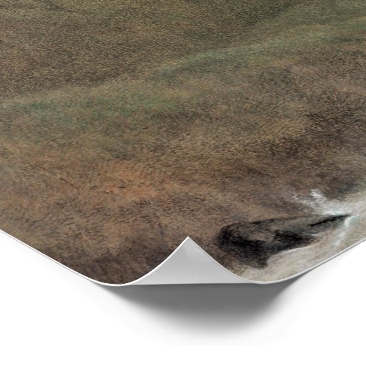 カシミール， c.1860 ポスター (角)