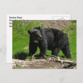 カシャベア2 ポストカード (正面/裏面)