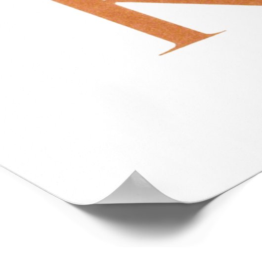 カシュミール・インディア・ヴィンテージ旅行ポスターを訪れる ポスター (角)