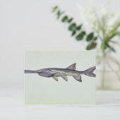 カジキ ポストカード (スタンド正面)