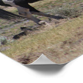 カジノ ポスター (角)