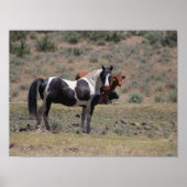 カジノ ポスター (正面)