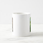 カジュアルなコアラのコーヒー・マグ コーヒーマグカップ (中央)