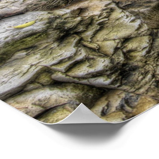 カスケーディングクリーク – オースティン、テキサス州 ポスター (角)