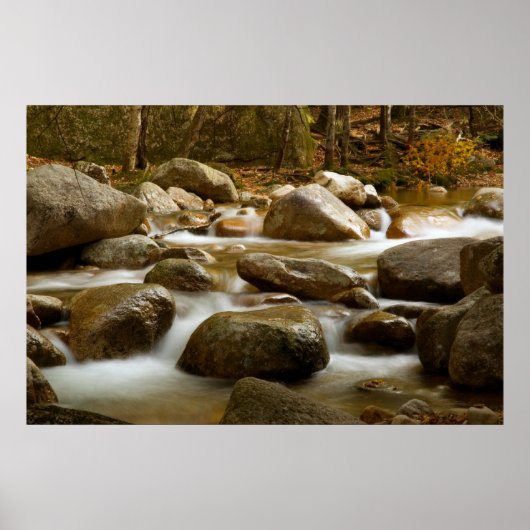 カスケードプリント ポスター (正面)