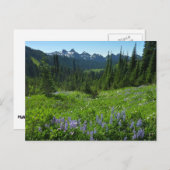 カスケードレンジから山レイニエ国立公園 ポストカード (正面/裏面)