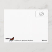 カスケードレンジから山レイニエ国立公園 ポストカード (裏面)