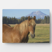 カスケード山脈 栗毛の馬 フォトプラーク (正面)