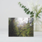 カスケード山 ポストカード (スタンド正面)