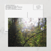 カスケード山 ポストカード (正面/裏面)