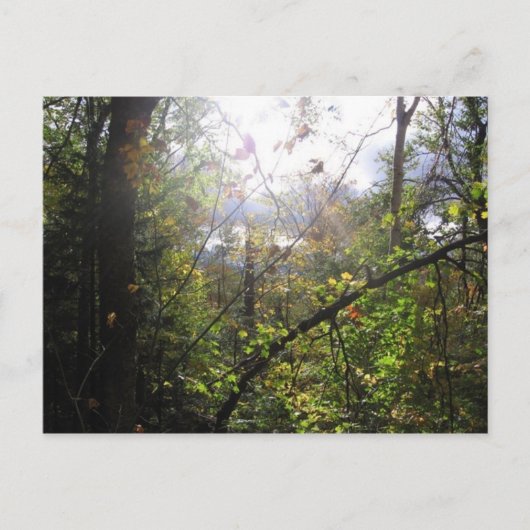 カスケード山 ポストカード (正面)