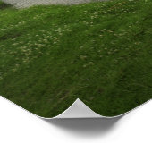 カスケード池 ポスター (角)