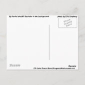 カスケード湖ハイウェイベンド、オレゴン ポストカード (裏面)