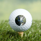 カスケード滝アットヨセミテ国立公園 ゴルフボール (インサイチュ 木)