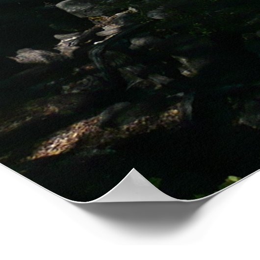 カスケード滝アットヨセミテ国立公園 ポスター (角)