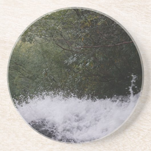 カスケード滝ズインブルーリッジマウンテンズコースター コースター (正面)