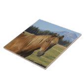 カスケード範囲 |栗の馬 タイル (側面)