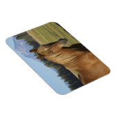 カスケード範囲 |栗の馬 マグネット (右側)