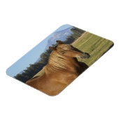 カスケード範囲 |栗の馬 マグネット (左側)