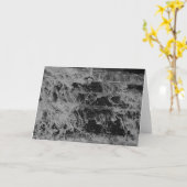 カスケード カード (黄色い花)