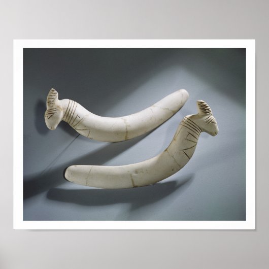 カスタネットのペア、Thinite Period(ヒポタマスiv) ポスター (正面)