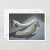 カスタネットのペア、Thinite Period(ヒポタマスiv) ポストカード (正面/裏面)