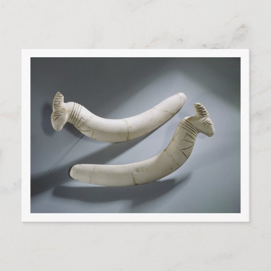 カスタネットのペア、Thinite Period(ヒポタマスiv) ポストカード (正面)