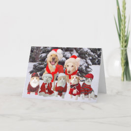 カスタマイズおもしろい可能なペットのクリスマスカード シーズンカード