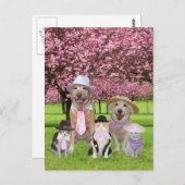 カスタマイズおもしろい可能なペットピンクテーマ ポストカード (正面/裏面)