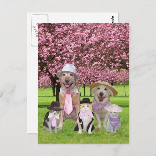 カスタマイズおもしろい可能なペットピンクテーマ ポストカード (正面/裏面)