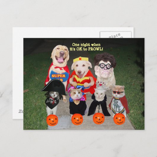 カスタマイズおもしろい可能なペット葉書/招待状 ポストカード (正面/裏面)