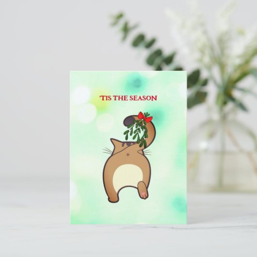 カスタマイズおもしろい可能な休日の猫の尻足 ポストカード (スタンド正面)