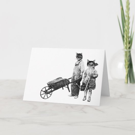 カスタマイズおもしろい可能な園芸猫カード シーズンカード (正面)