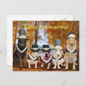 カスタマイズおもしろい可能な巡礼犬の感謝祭の投稿 シーズンポストカード (正面/裏面)