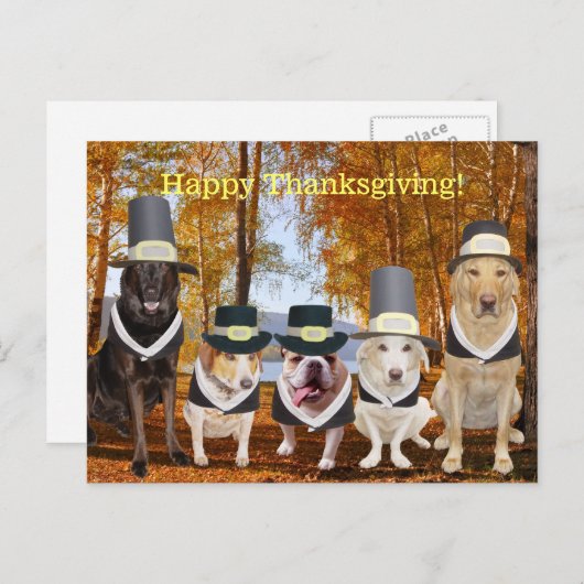カスタマイズおもしろい可能な巡礼犬の感謝祭の投稿 シーズンポストカード (正面/裏面)