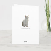 カスタマイズおもしろい可能な猫探し鏡 カード (裏面)