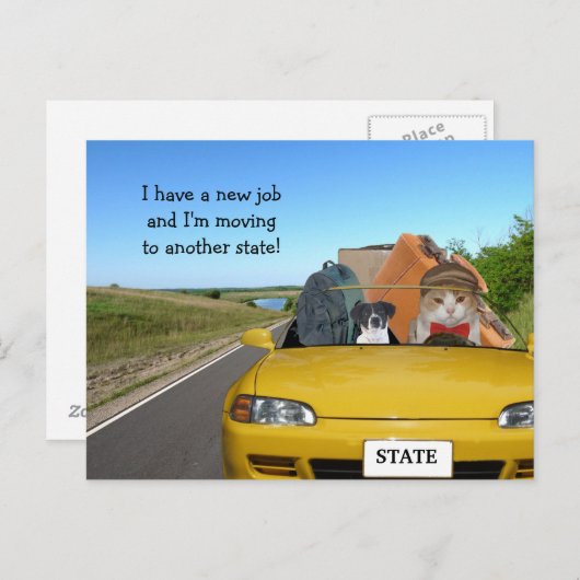 カスタマイズおもしろい可能な猫/子猫が郊外に移動 案内ポストカード (正面/裏面)