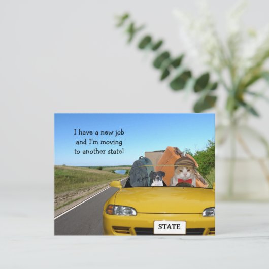 カスタマイズおもしろい可能な猫/子猫が郊外に移動 案内ポストカード (スタンド正面)