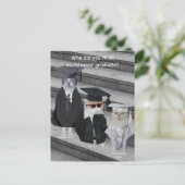 カスタマイズおもしろい可能なCat/子猫の卒業生 案内ポストカード (スタンド正面)