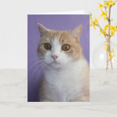 カスタマイズおもしろい可能なCat/子猫勇気付けられる カード (黄色い花)