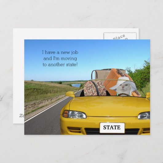 カスタマイズおもしろい可能なCat/子猫移動 案内ポストカード (正面/裏面)